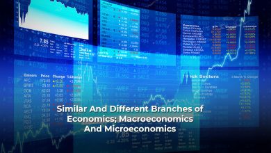 Understanding The Basic Difference Between Macroeconomics And Microeconomics Is Easy: Here's How