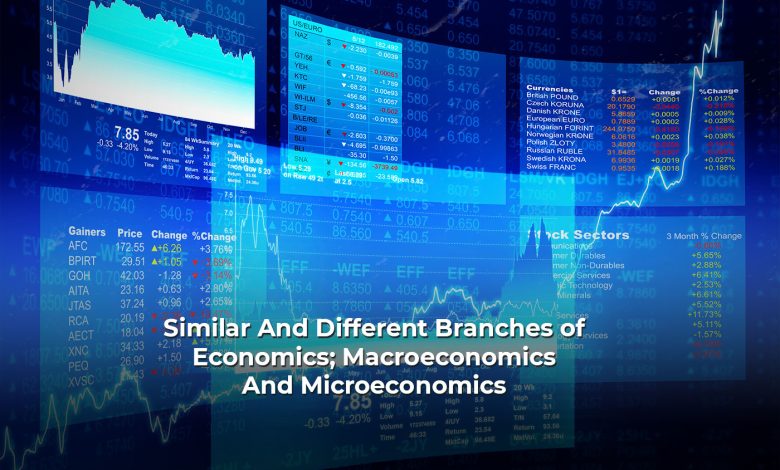 Understanding The Basic Difference Between Macroeconomics And Microeconomics Is Easy: Here's How